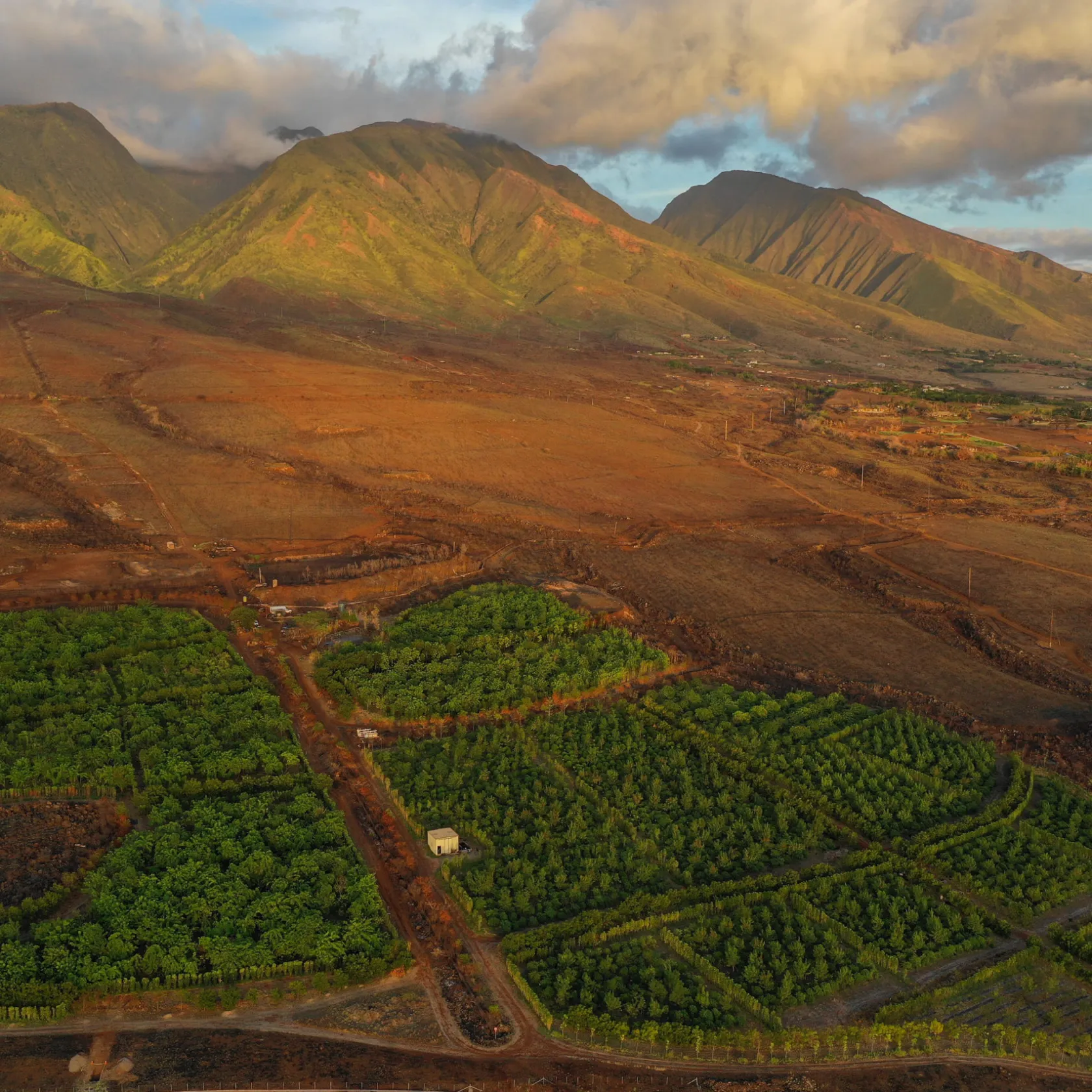 view of farm and mountains