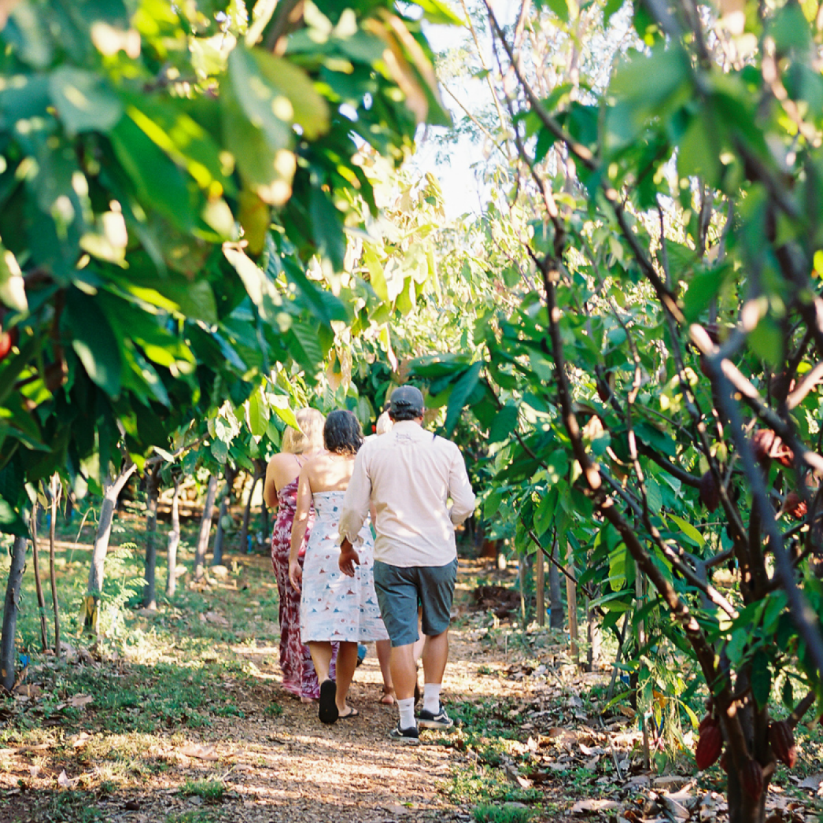 group of people walking through a farm