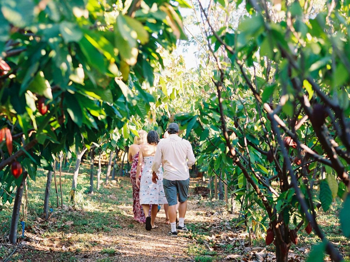 group of people walking through a farm
