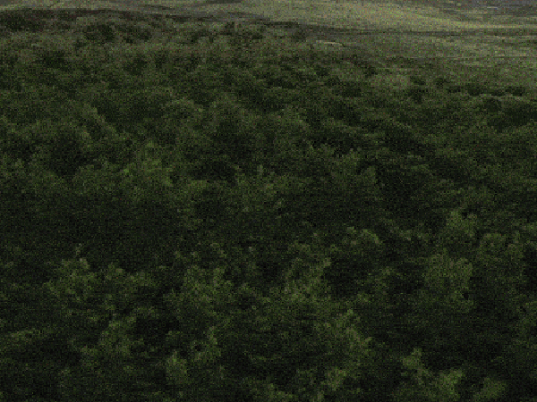 video of chocolate making process