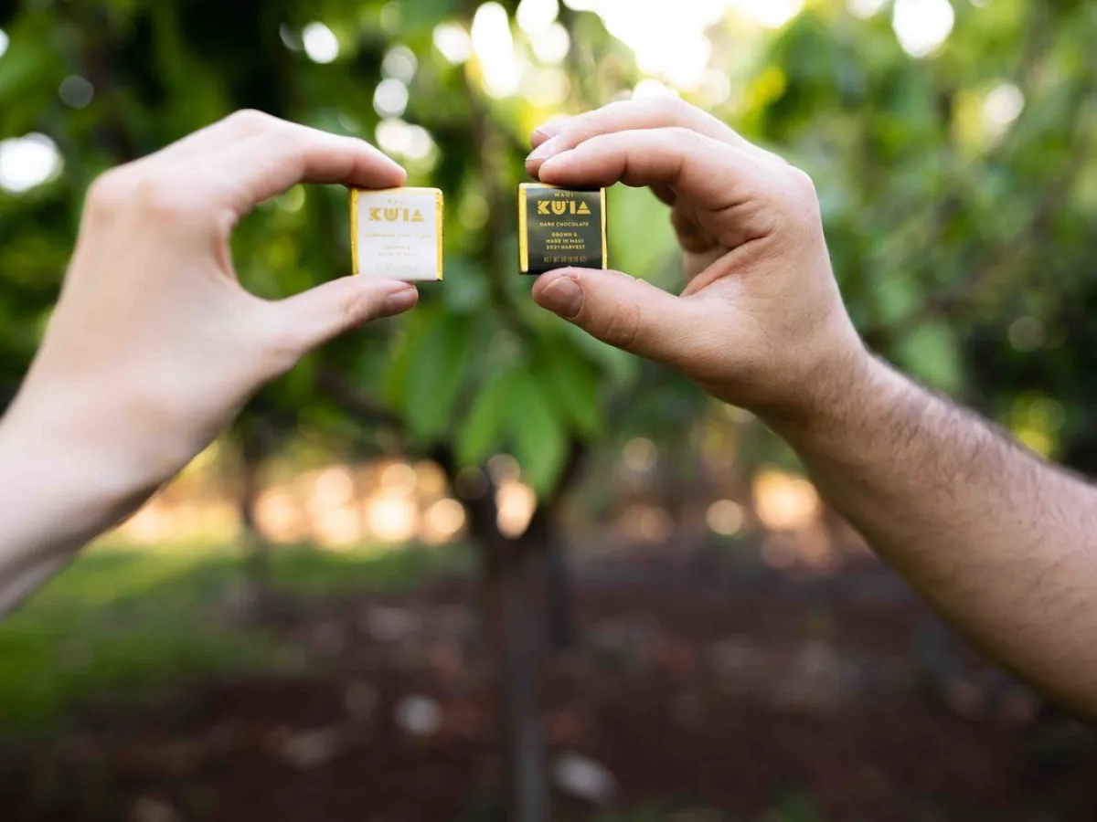a hand holding a cellphone