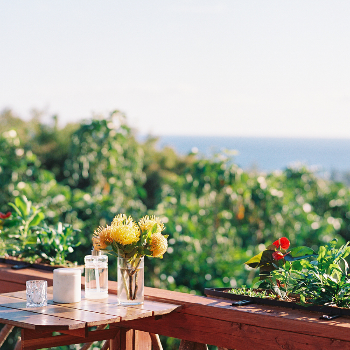 a vase of flowers sitting on a bench in front of a window