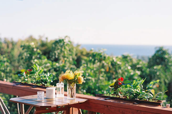 a vase of flowers sitting on a bench in front of a window