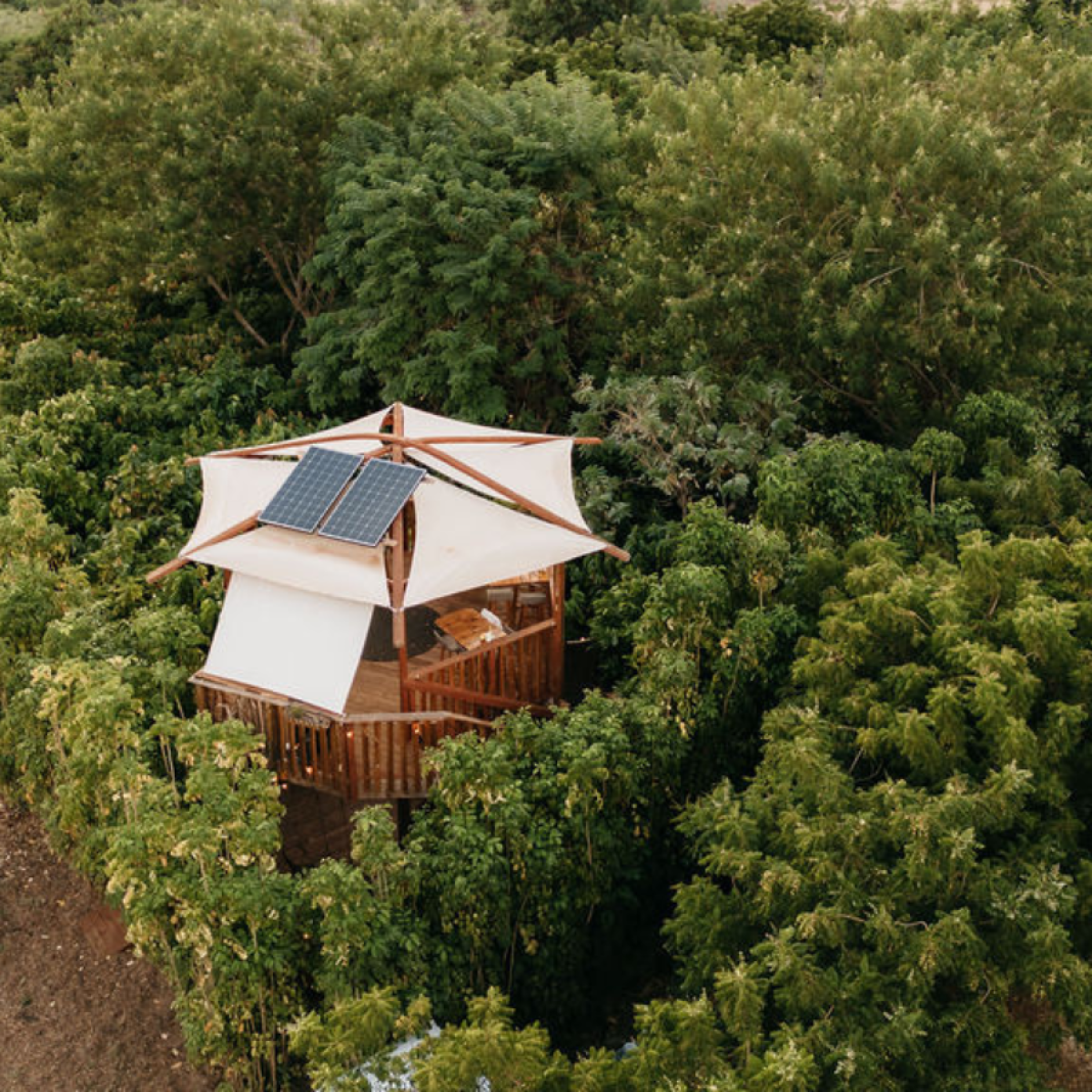 a house with bushes in the background