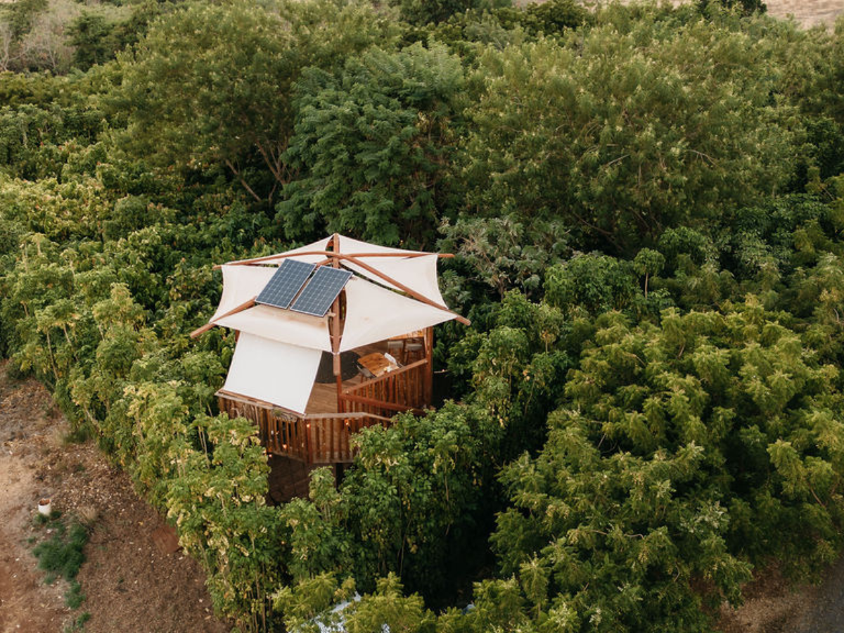 a house with bushes in the background