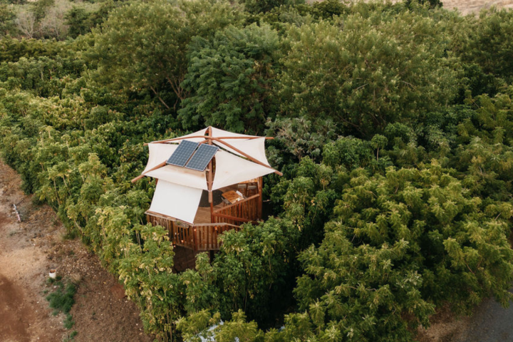 a house with bushes in the background