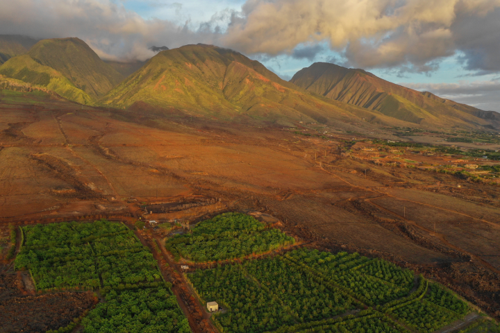 a large green field with a mountain in the background