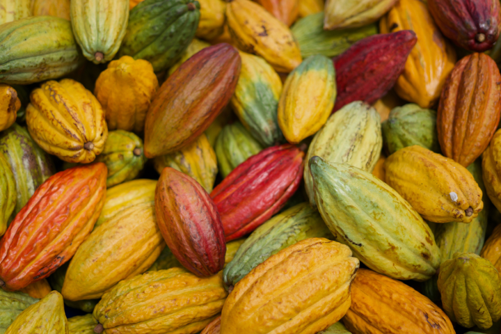 a bunch of different types of fruit