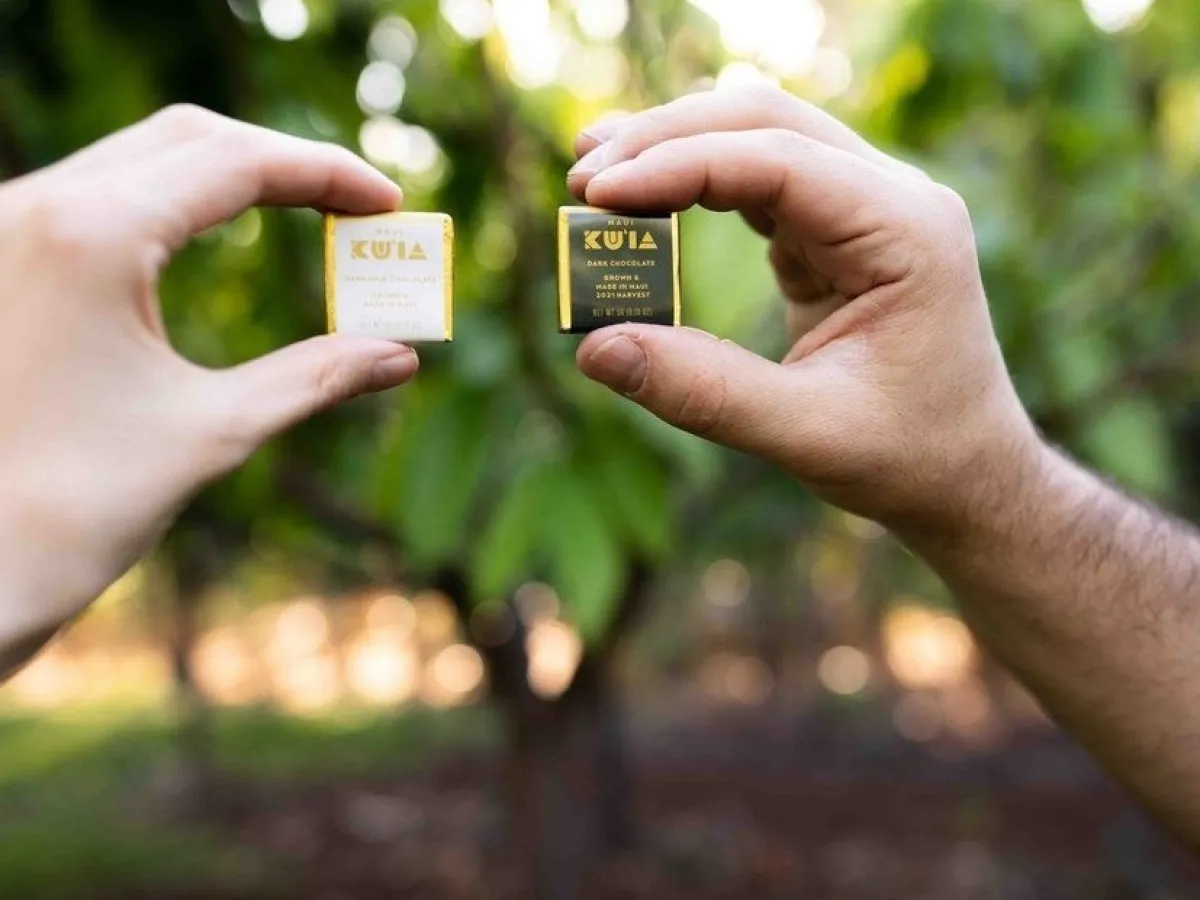 a hand holding a cellphone