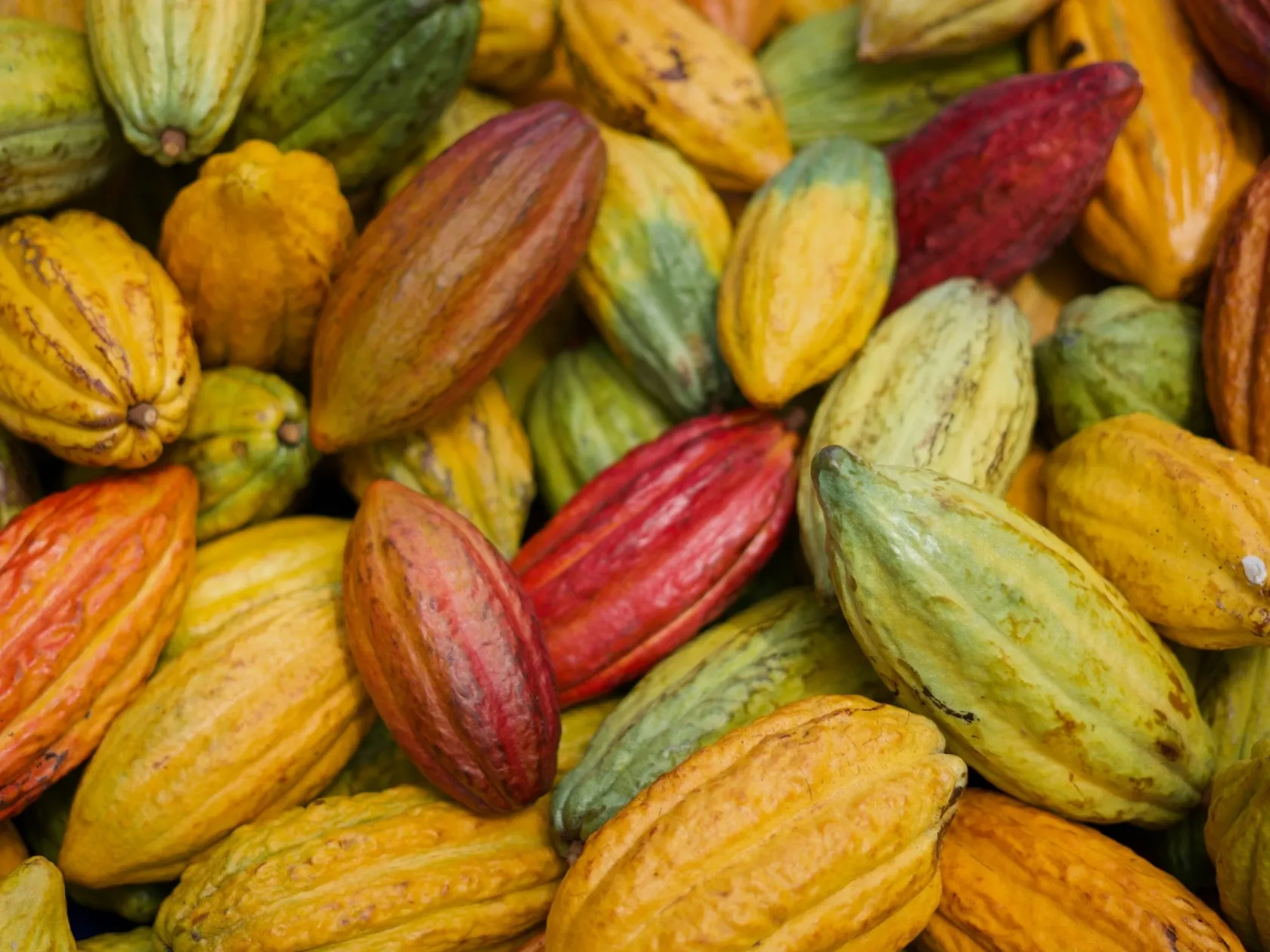 a group of fruit and vegetables