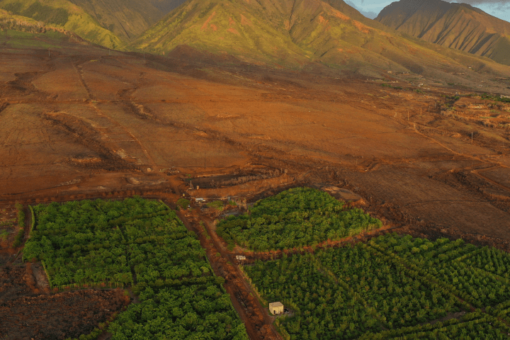 Aerial view of green fields bordered by barren land with mountains in the background.
