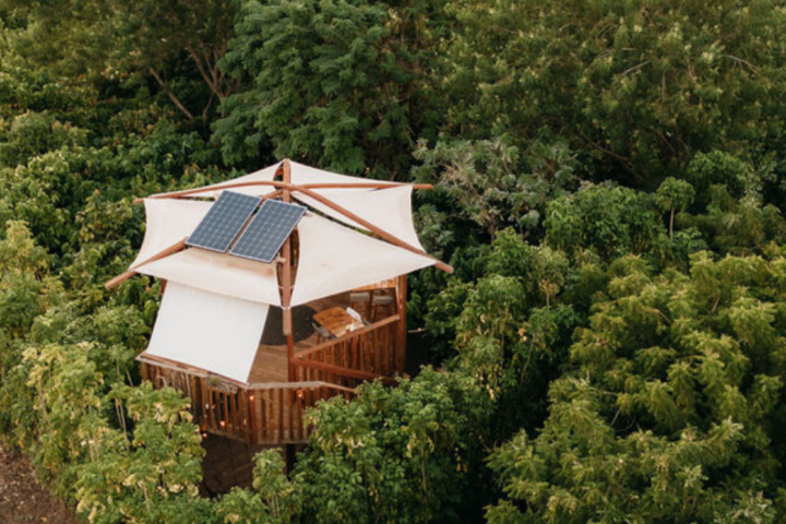 Wooden treehouse with solar panels surrounded by dense green foliage.