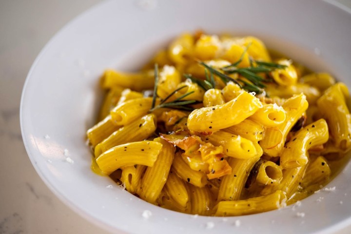 Bowl of pasta with yellow sauce and rosemary garnish on top.
